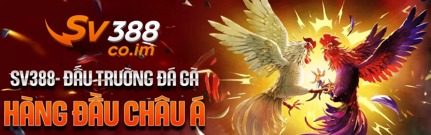 Sv388 đấu trường đá gà hàng đầu châu á