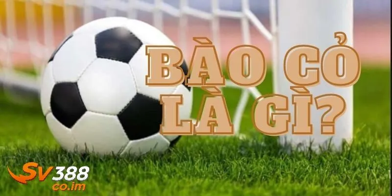 Cách bào cỏ bóng đá là gì ? Giải thích khái niệm và nguyên lý