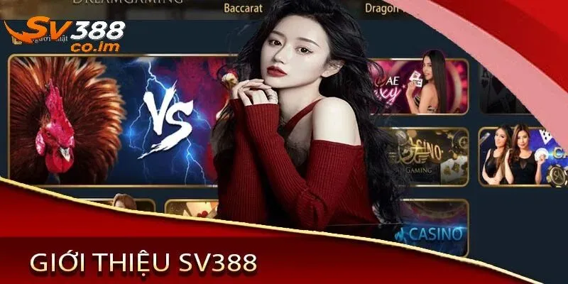 Giới thiệu chung về chúng tôi SV388