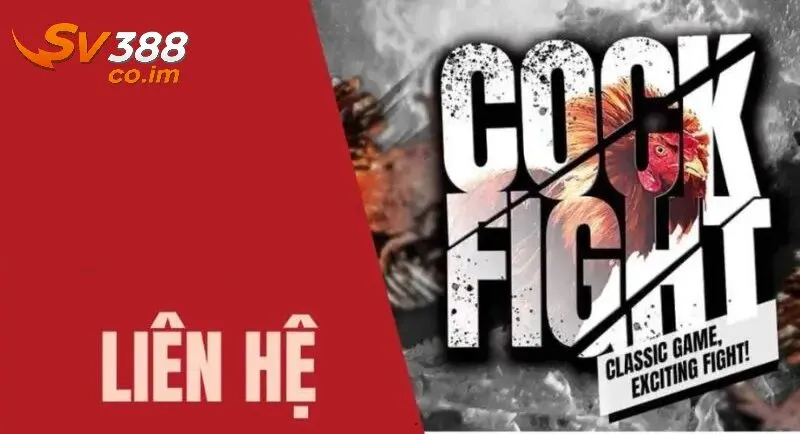 luu y khi lien he sv388 de dat hieu qua toi uu Lưu ý khi liên hệ SV388 để đạt hiệu quả tối ưu